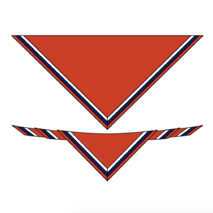 Replacement 41st Scarf & Woggle